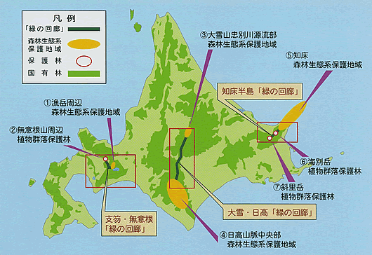 緑の回廊の位置図