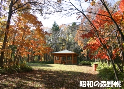 昭和の森野幌
