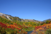 高原温泉風致探勝林の写真