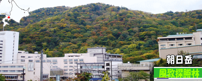 朝日岳風致探勝林