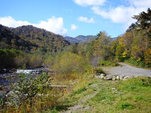 森水広場の風景