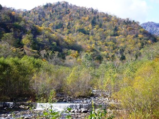 森水広場から見る紅葉