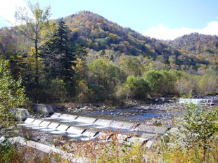森水広場の風景