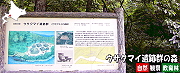 ウサクマイ遺跡群の森自然観察教育林