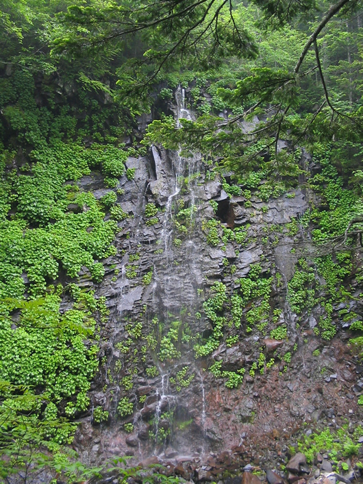 錦糸の滝