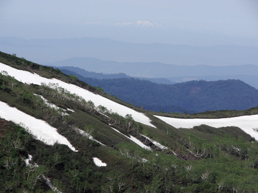 残雪の山（前天塩岳から暑寒別岳）の写真
