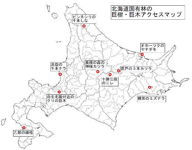 北海道国有林の巨樹・巨木