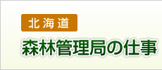 森林管理局の仕事