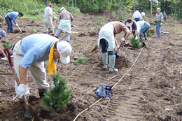 「外国樹種見本林復活の集い」での植樹作業
