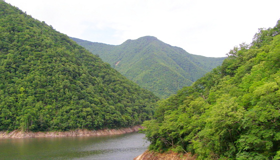 森林生態系保護地域（中札内村）
