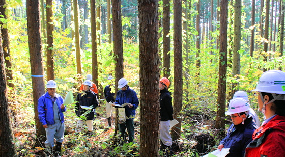 渡島東部南ブロック森林経営計画作成推進班による現地検討会
