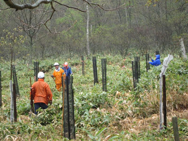登別温泉ふれあいの森_防護ネット