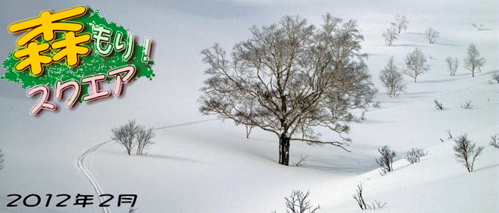 2012年2月