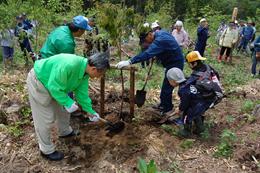 七飯町峠下国有林で保育園児と記念植樹