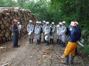 間伐現場にて、現場代理人（左）と森林官（右）から仕事内容の説明