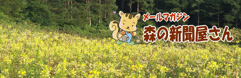 メルマガ森の新聞屋さん