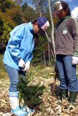 植えた後、引っ張っても抜けないようしっかり踏み固めます。