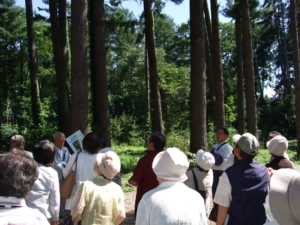 樹齢112年のストローブマツを眺める学生達