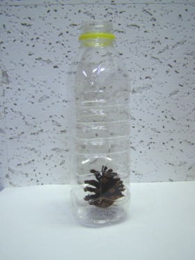マツボックリのしくみ
