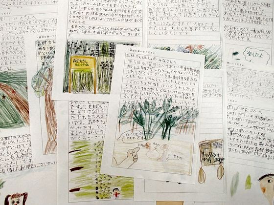 児童達からの感想文