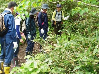 植物の観察・説明