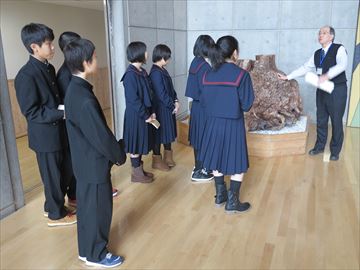 オニグルミのこぶ