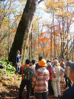 秋の紅葉・自然観察会