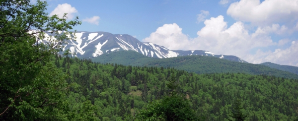 よみがえった森林と大雪山の峰(赤岳方面)