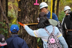 上川小学校・エミーナの森