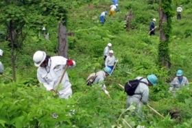 ボランティアによる下刈り作業(カムイの森)