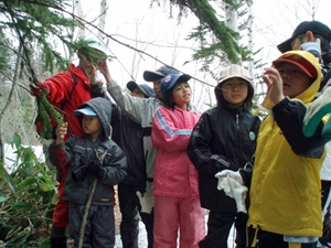 朱鞠内小学校の森林教室