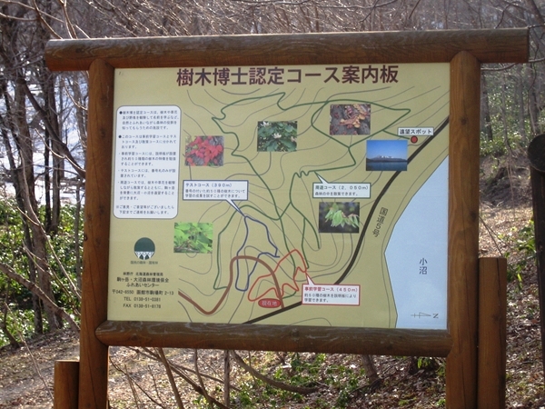 樹木博士認定コースの案内板（七飯町字西大沼）