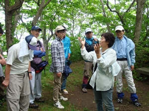 函館山での草本類観察会 (講師は北海道アウトドアガイド木村マサ子氏)