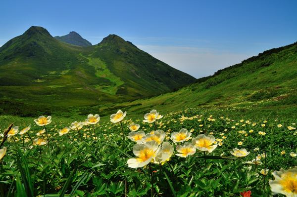 初夏の知床連山