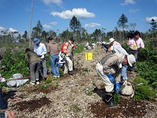 支笏湖周辺での復興の森づくり(千歳市)