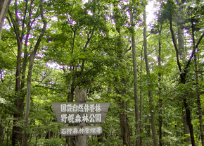 野幌森林公園