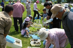 二風谷ダム湖周辺の自然観察と植樹