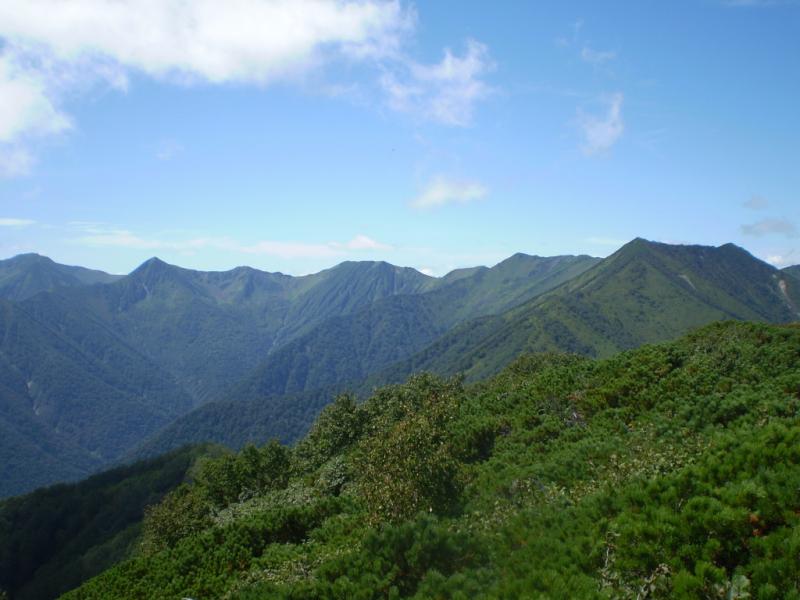 日高山脈森林生態系保護地域 日高山脈森林生態系保護地域 平成7年度に設定された日高山脈中央部森林