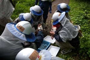 歩行性甲虫の調査