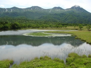 知床五湖：一湖から知床連山（国有林）を望む