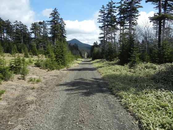 飽別白水林道の一部に1.5キロも続く直線林道
