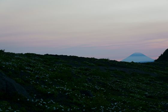 見頃のエゾイソツツジの背後には夕日に映える羊蹄山