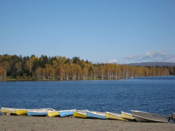 秋晴れの朱鞠内湖と国有林の紅葉