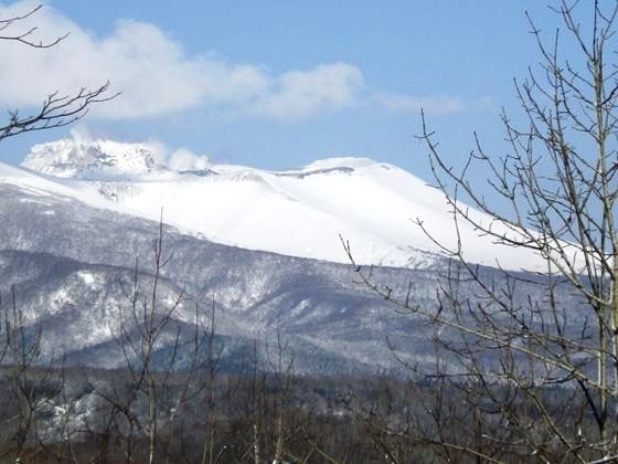 ポロト自然休養林望岳台から見た樽前山