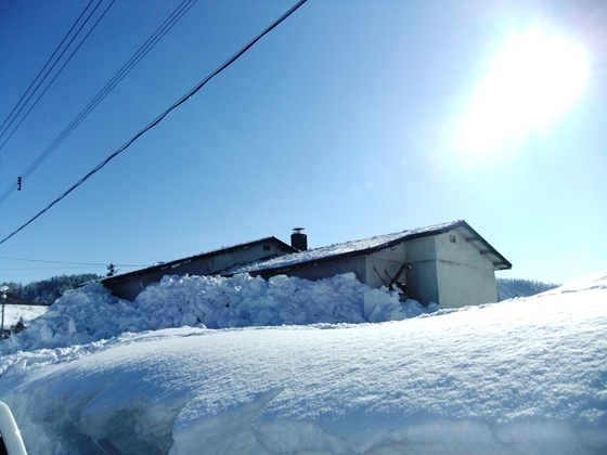 雪下ろし後の建物