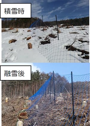 保護柵(斜め張り方式)使用における積雪の影響
