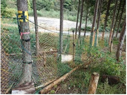 立木を支柱に利用した防護柵