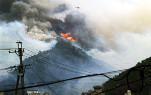 山火事の写真1
