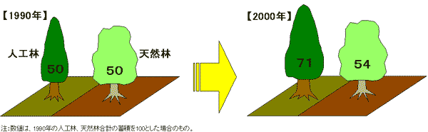 日本の森林面積の変化(イメージ)