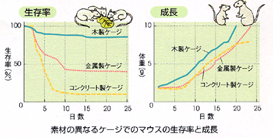 素材の異なるケージでのマウスの生存率と成長